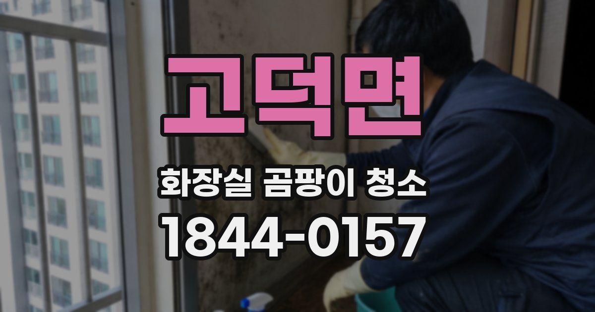 고덕면 화장실 곰팡이 청소