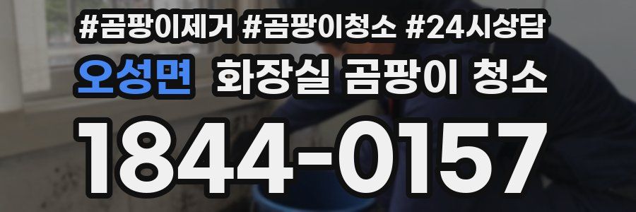 오성면 화장실 곰팡이 청소