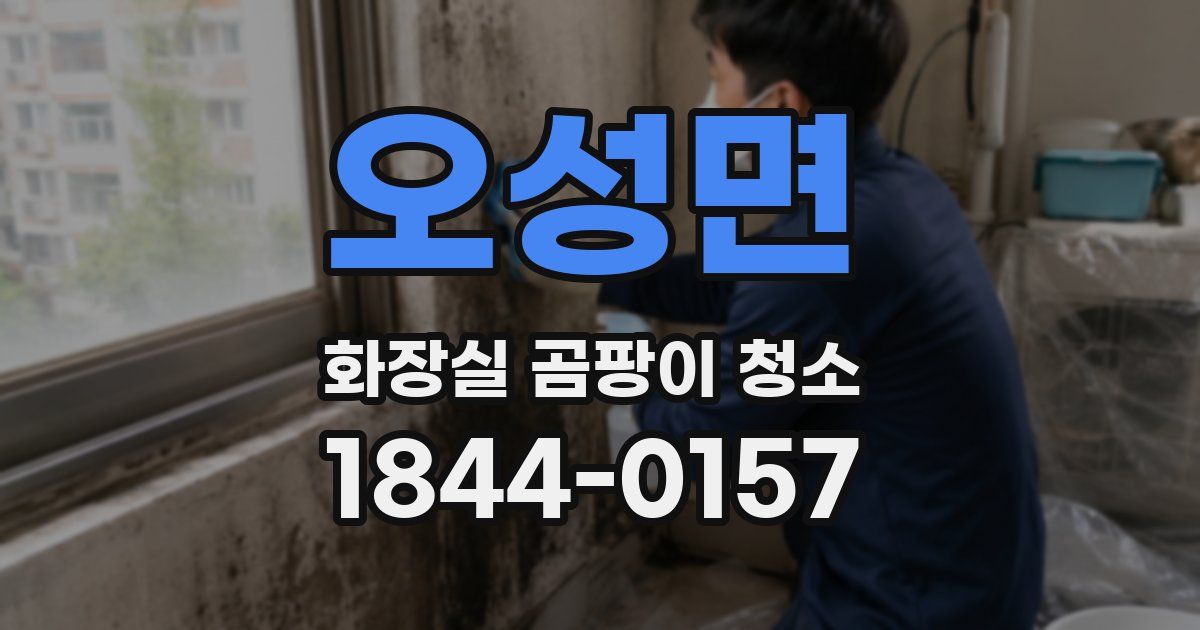 오성면 화장실 곰팡이 청소