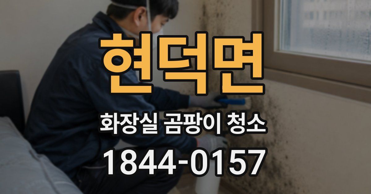 현덕면 화장실 곰팡이 청소