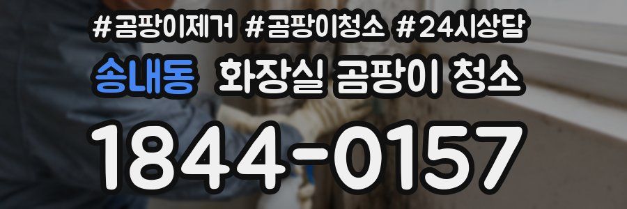송내동 화장실 곰팡이 청소