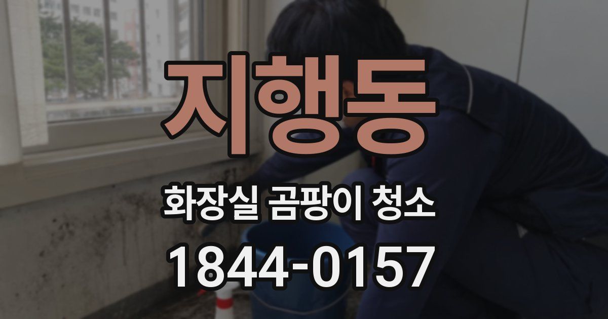 지행동 화장실 곰팡이 청소