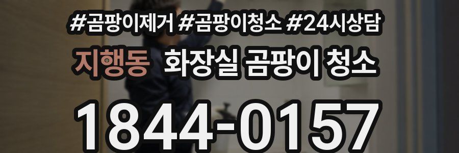 지행동 화장실 곰팡이 청소