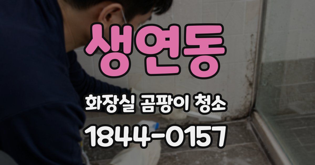 생연동 화장실 곰팡이 청소