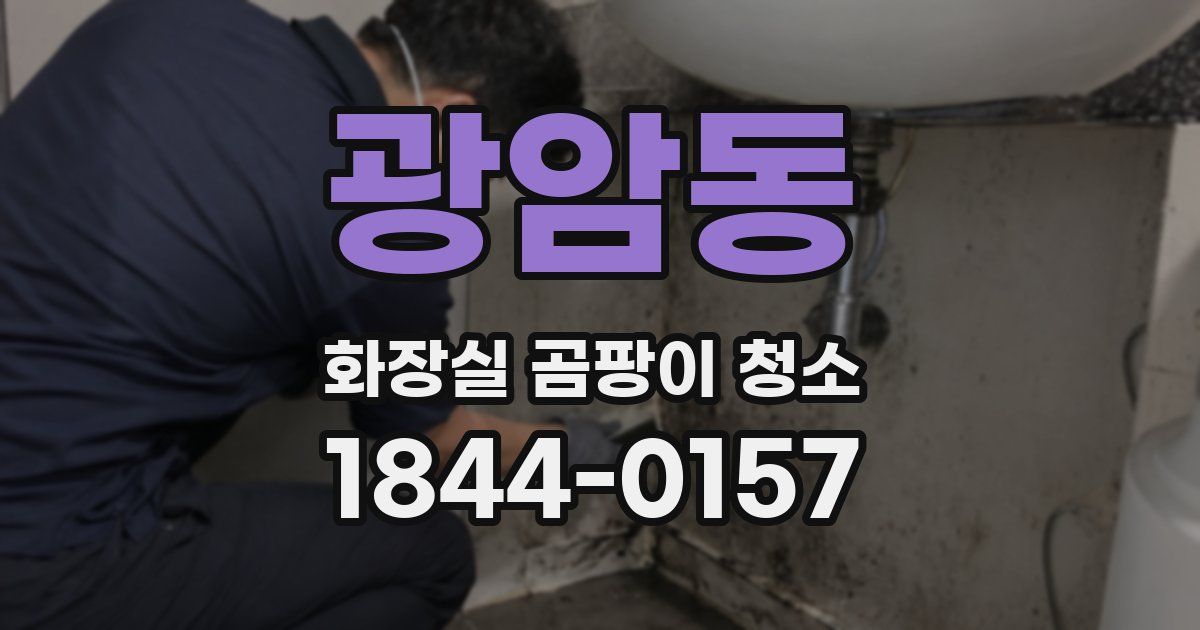 광암동 화장실 곰팡이 청소