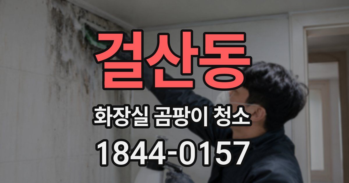 걸산동 화장실 곰팡이 청소