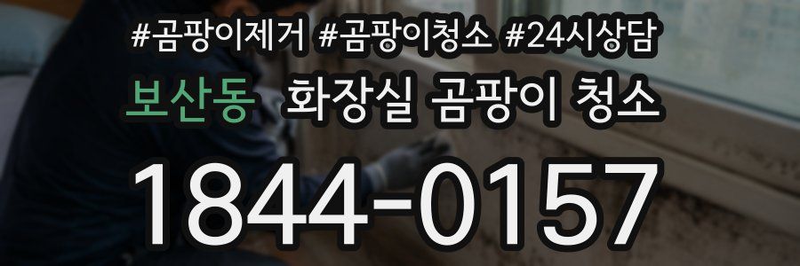 보산동 화장실 곰팡이 청소