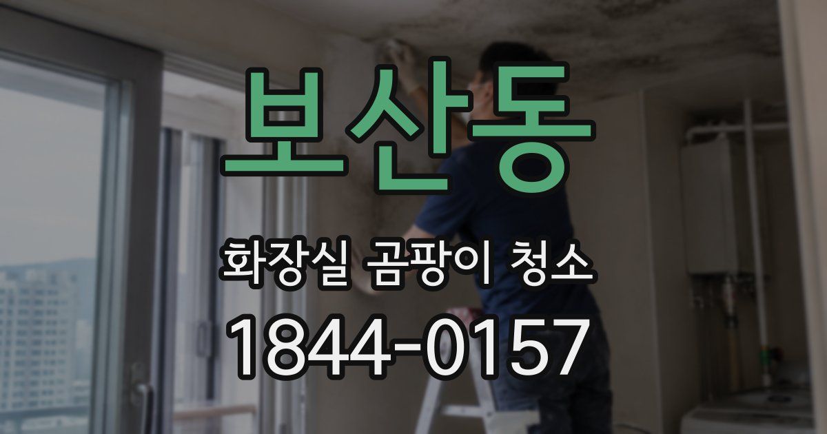보산동 화장실 곰팡이 청소