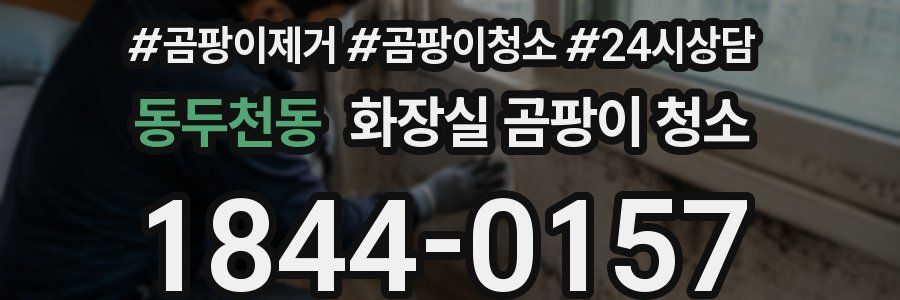 동두천동 화장실 곰팡이 청소