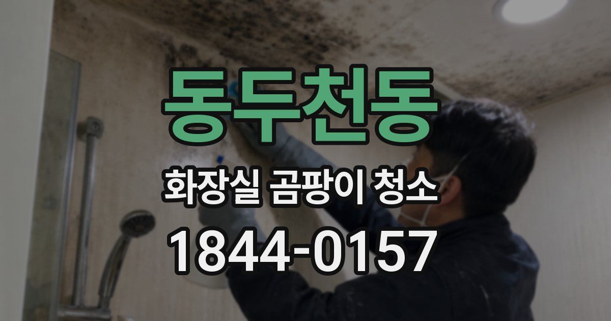 동두천동 화장실 곰팡이 청소