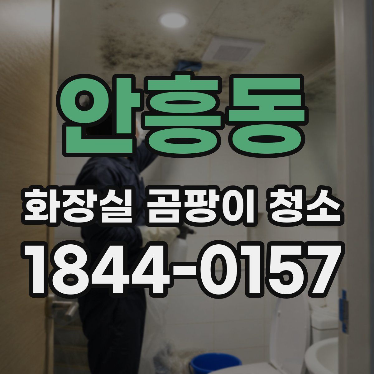 안흥동 화장실 곰팡이 청소