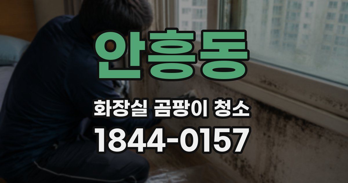 안흥동 화장실 곰팡이 청소