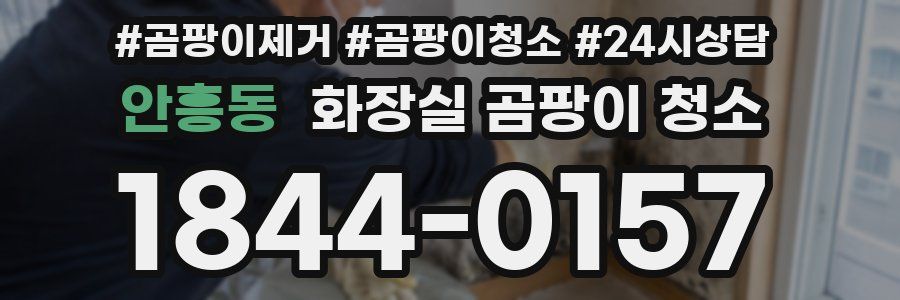 안흥동 화장실 곰팡이 청소
