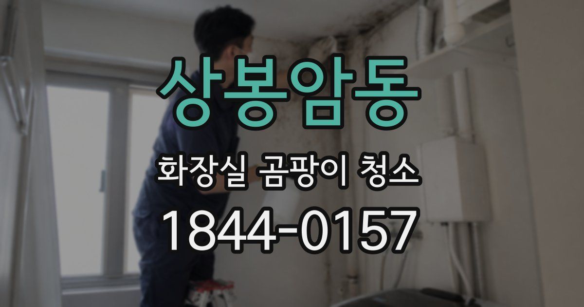 상봉암동 화장실 곰팡이 청소