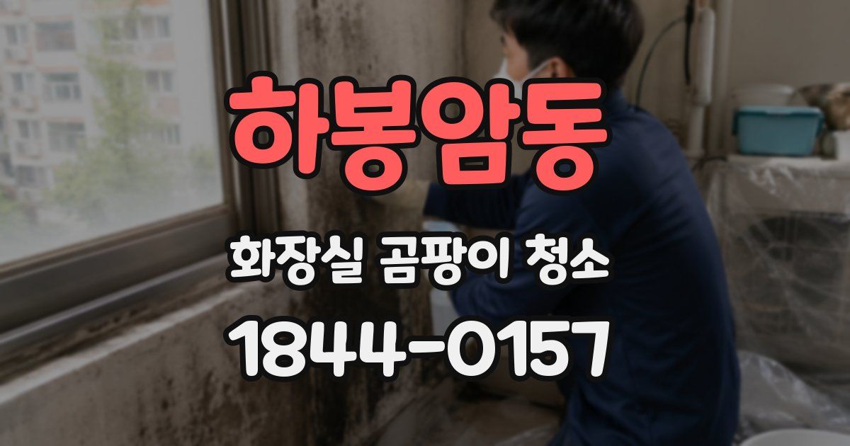 하봉암동 화장실 곰팡이 청소