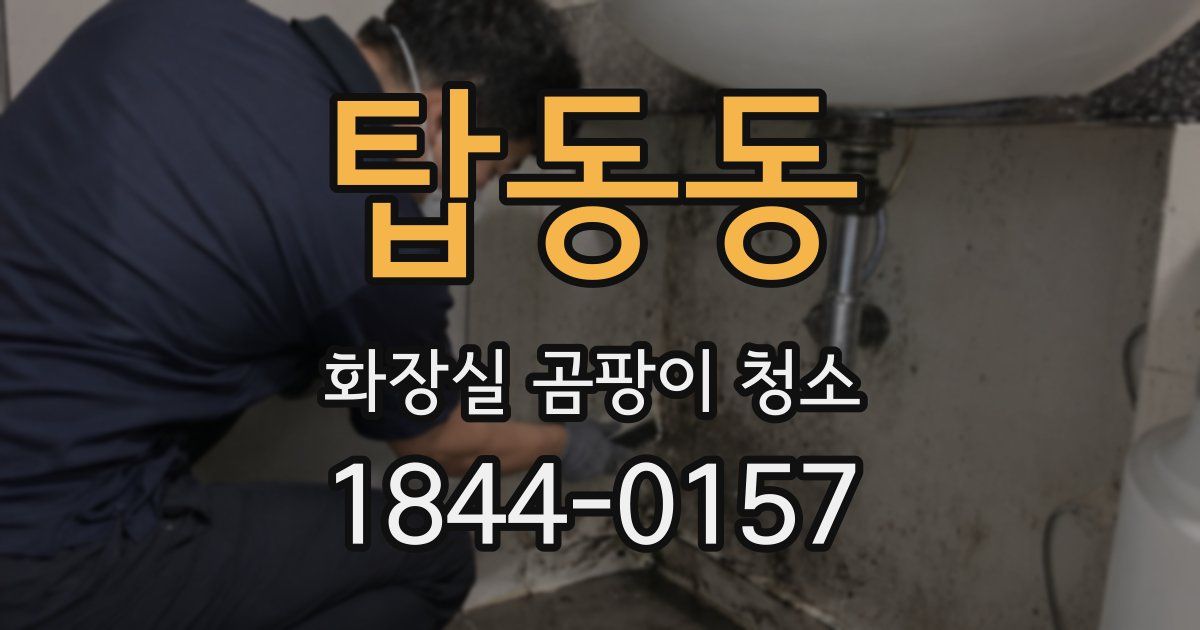 탑동동 화장실 곰팡이 청소