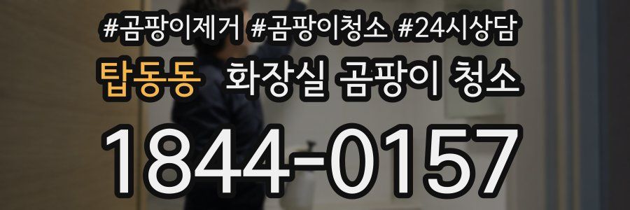 탑동동 화장실 곰팡이 청소