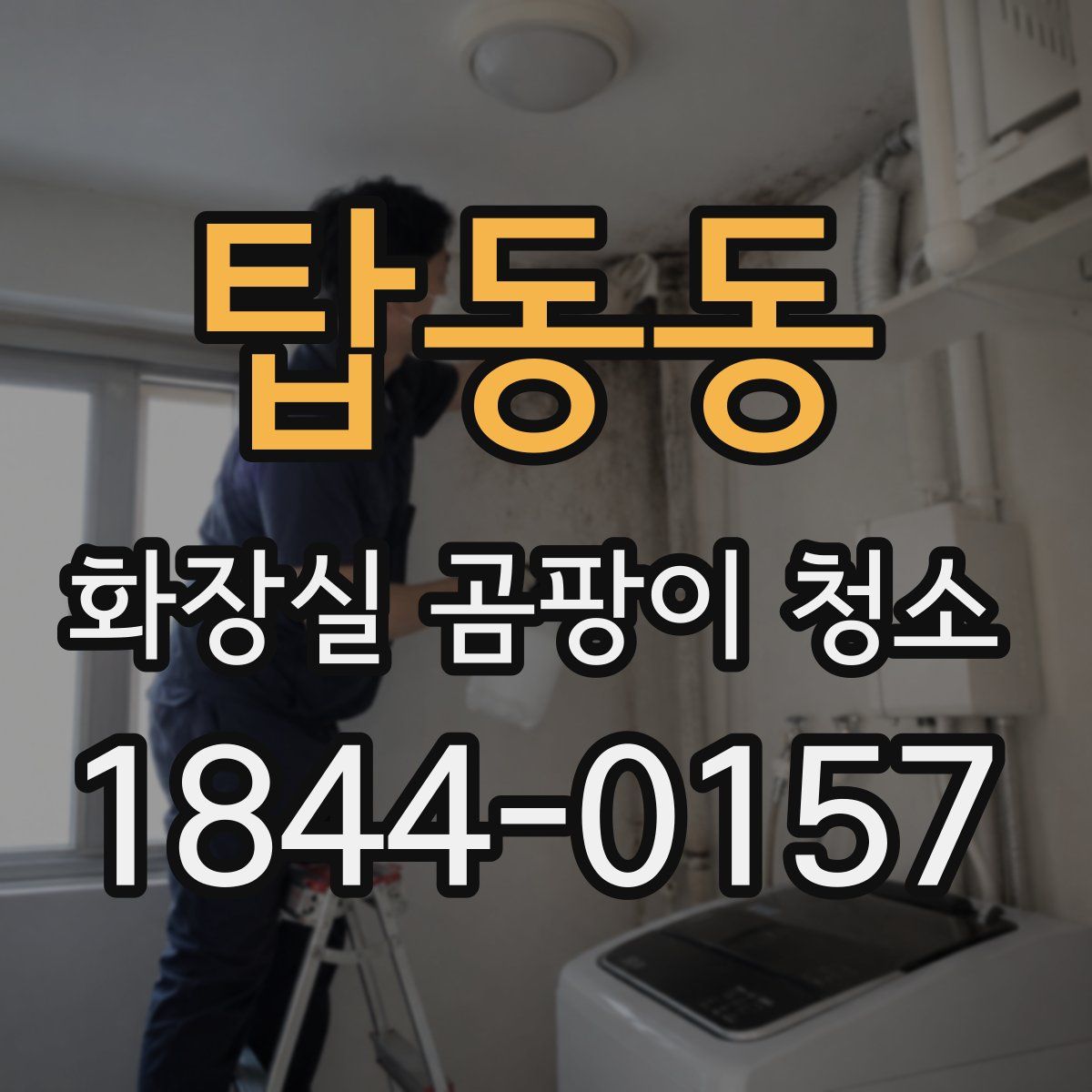 탑동동 화장실 곰팡이 청소