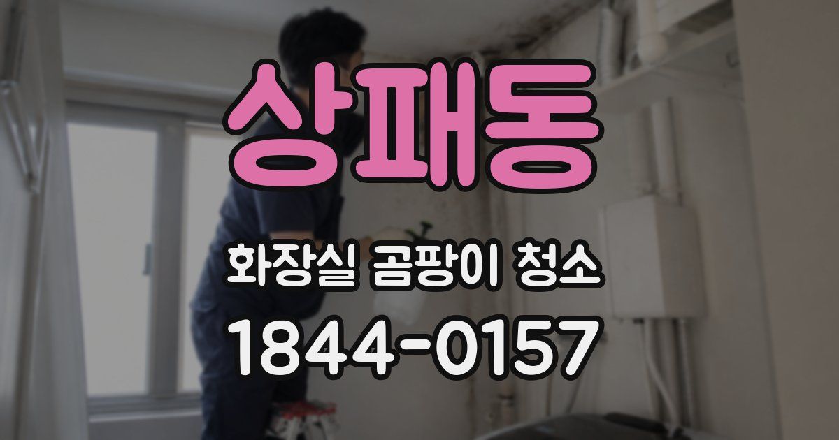상패동 화장실 곰팡이 청소