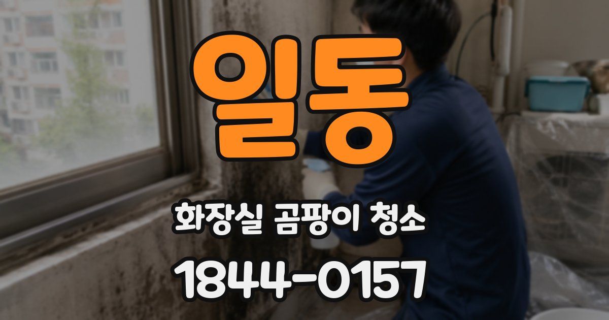 일동 화장실 곰팡이 청소