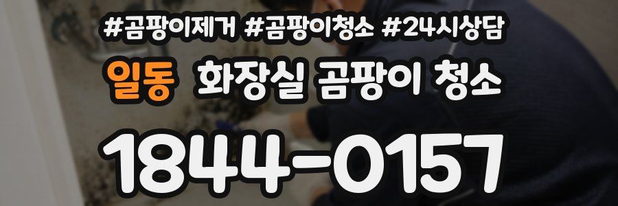 일동 화장실 곰팡이 청소