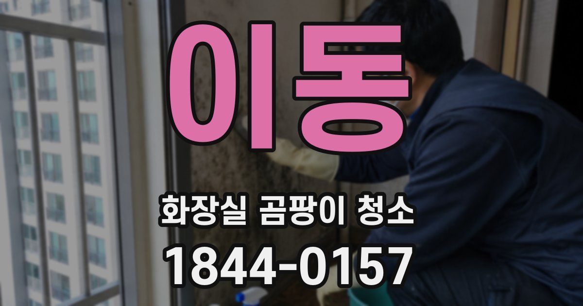이동 화장실 곰팡이 청소