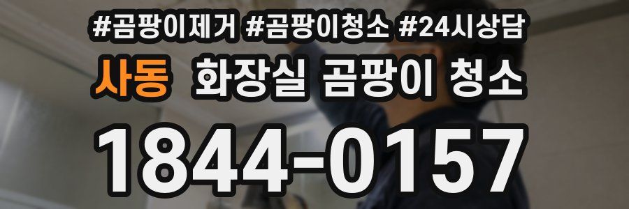 사동 화장실 곰팡이 청소