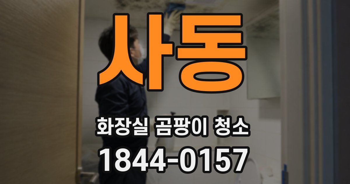 사동 화장실 곰팡이 청소