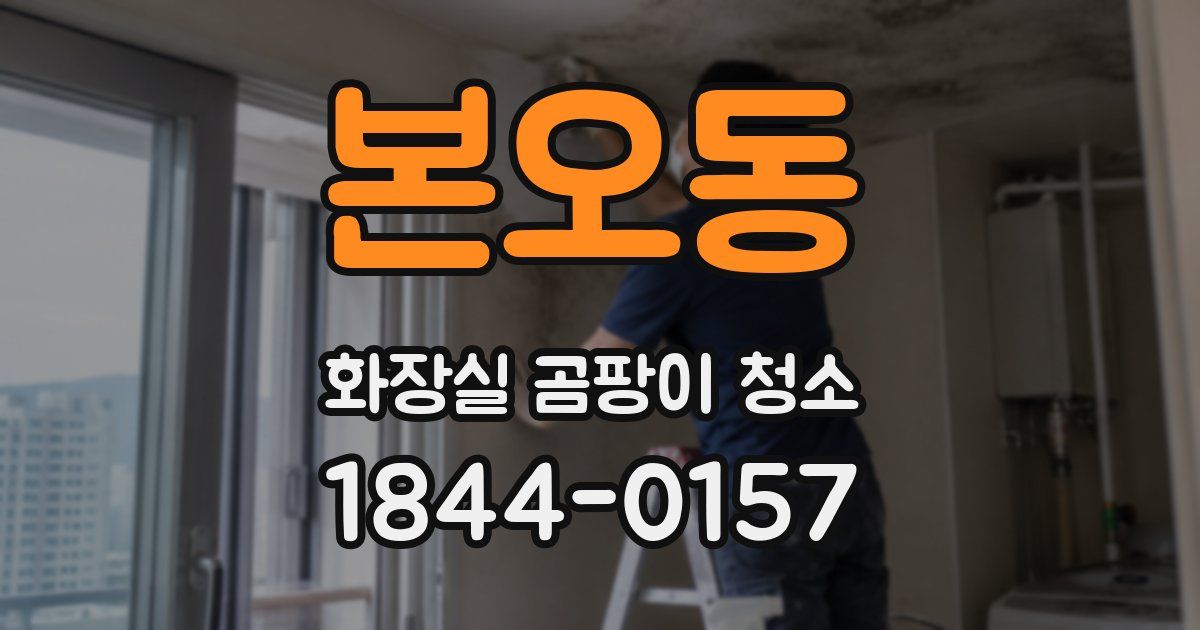본오동 화장실 곰팡이 청소