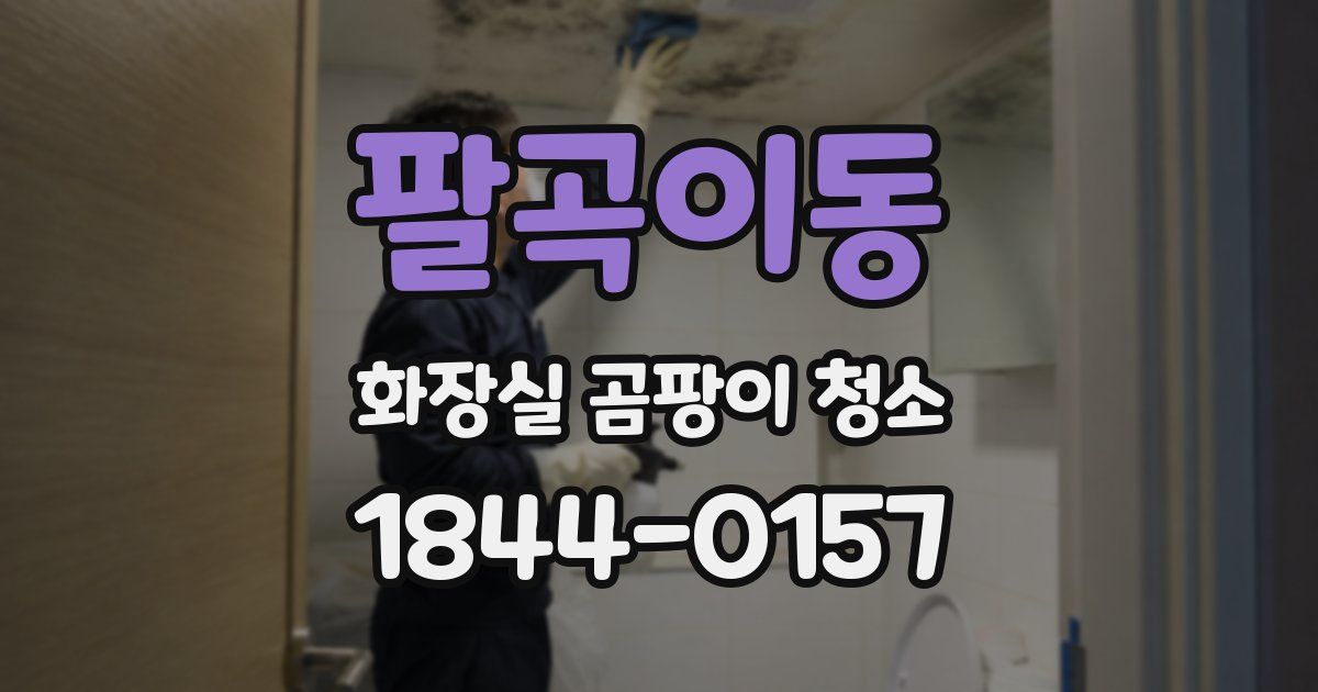 팔곡이동 화장실 곰팡이 청소