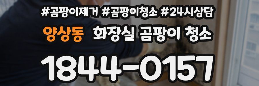 양상동 화장실 곰팡이 청소
