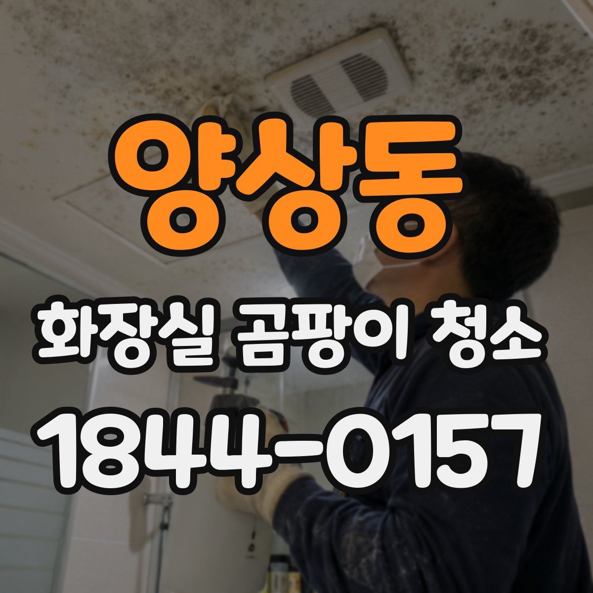 양상동 화장실 곰팡이 청소