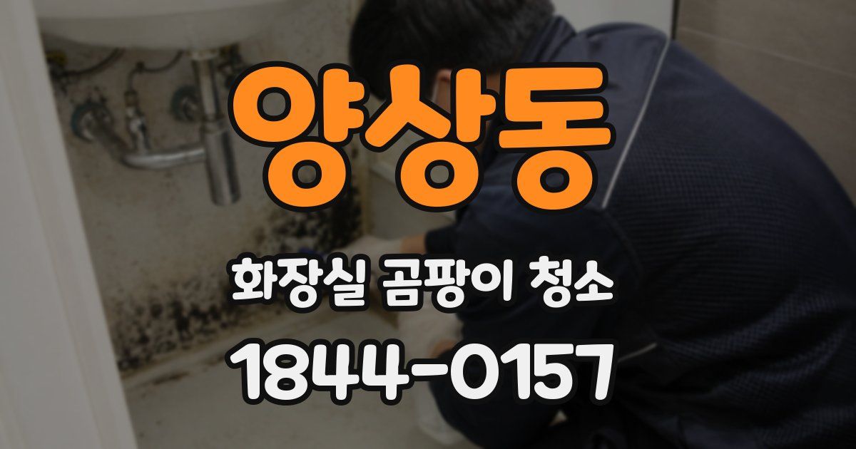 양상동 화장실 곰팡이 청소