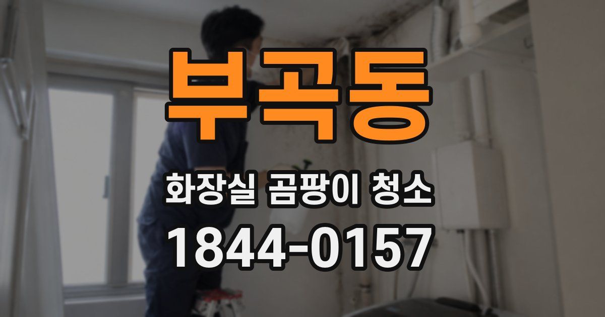 부곡동 화장실 곰팡이 청소
