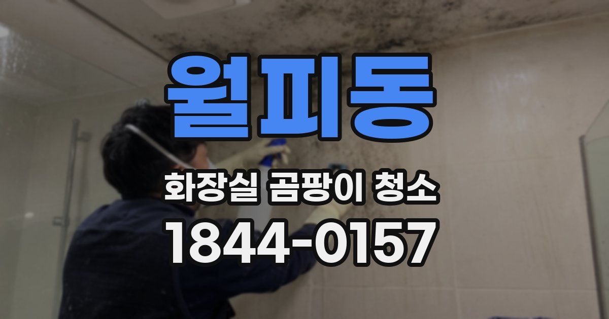 월피동 화장실 곰팡이 청소