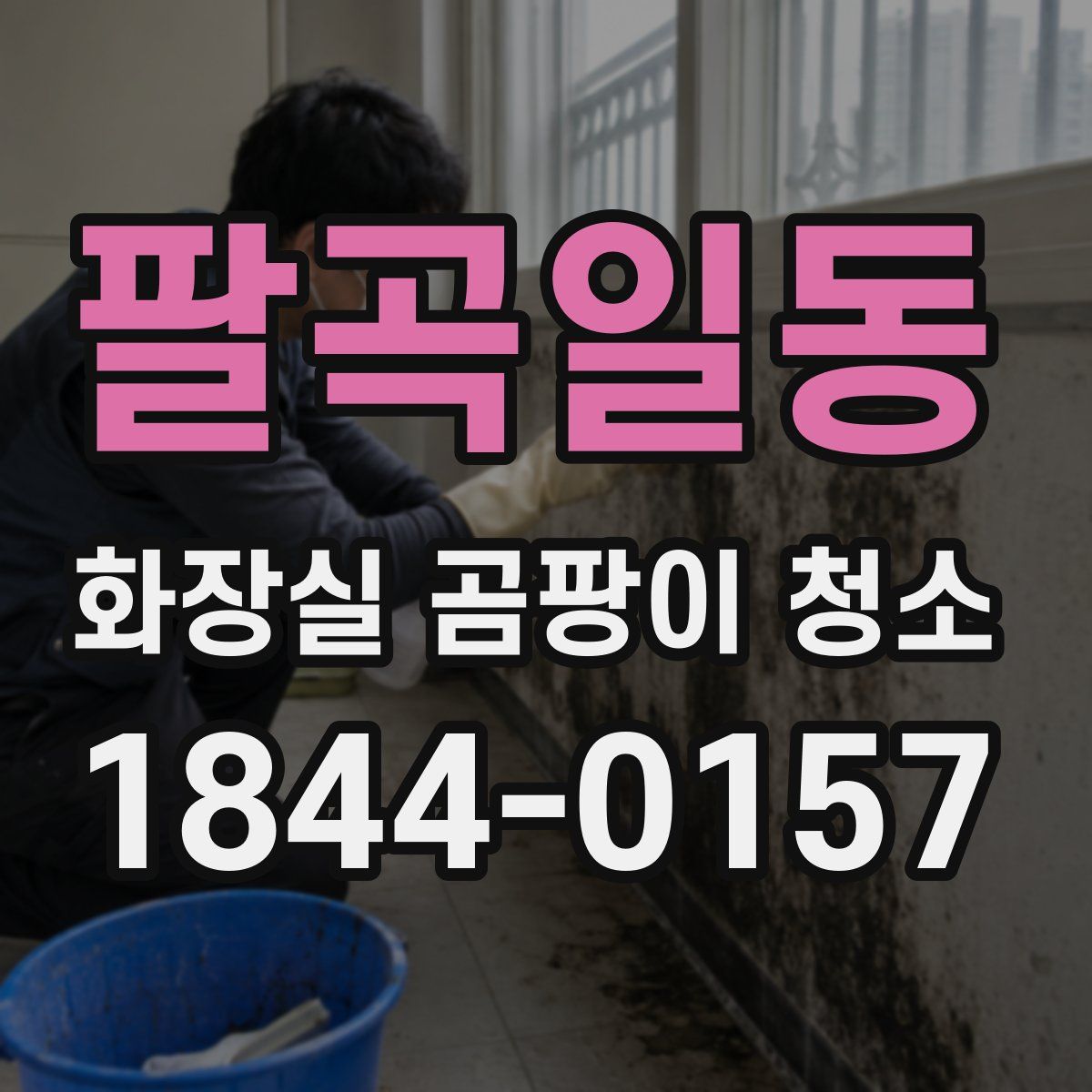 팔곡일동 화장실 곰팡이 청소