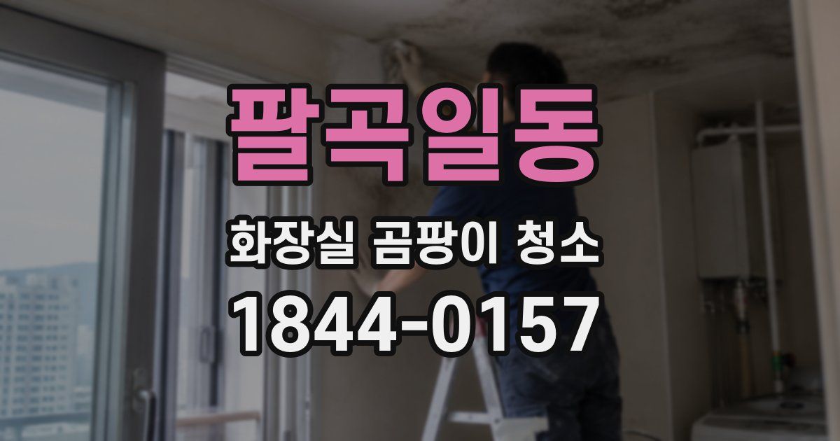 팔곡일동 화장실 곰팡이 청소