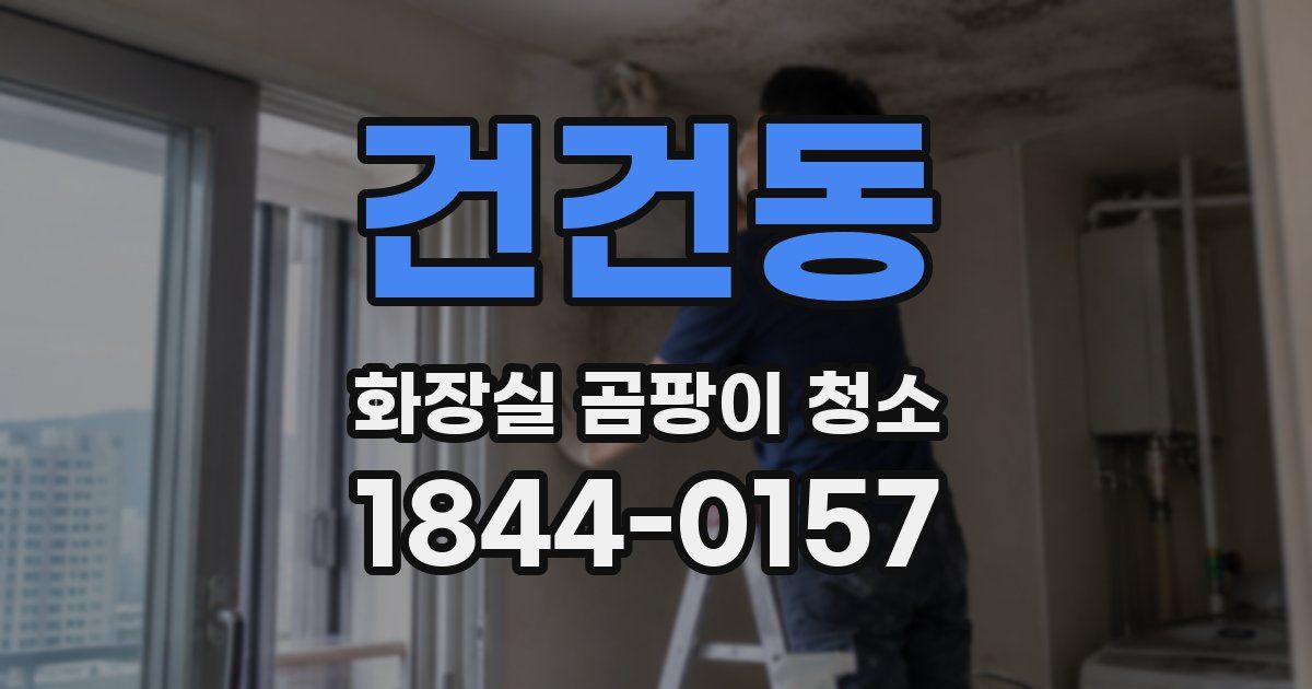 건건동 화장실 곰팡이 청소