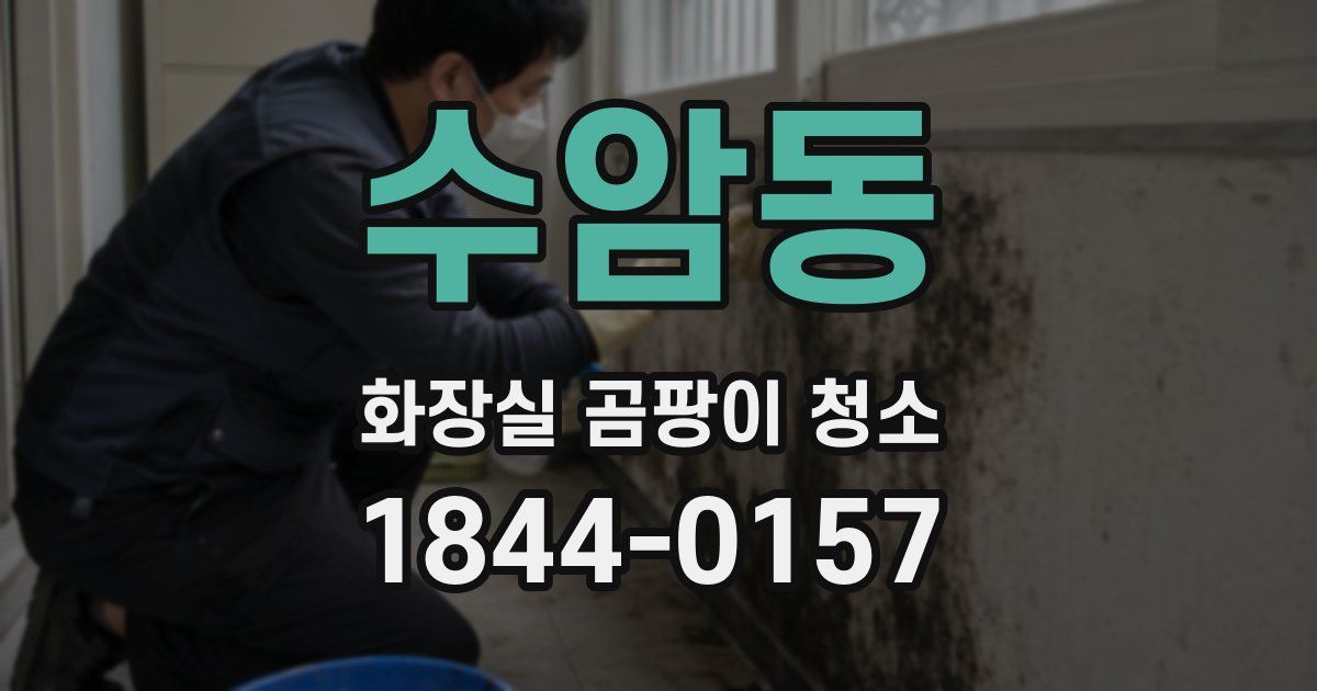 수암동 화장실 곰팡이 청소