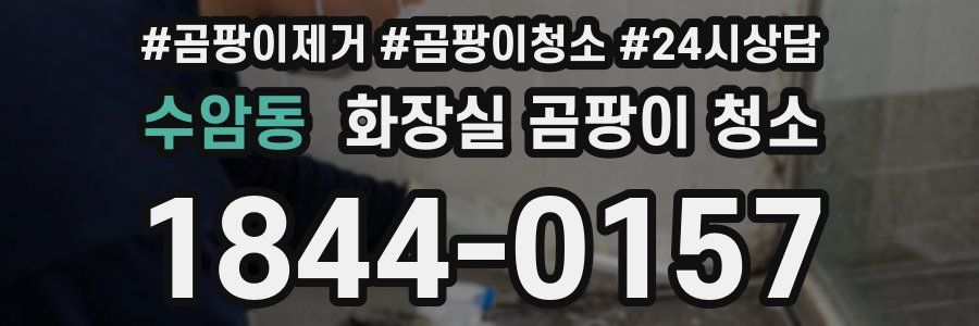 수암동 화장실 곰팡이 청소