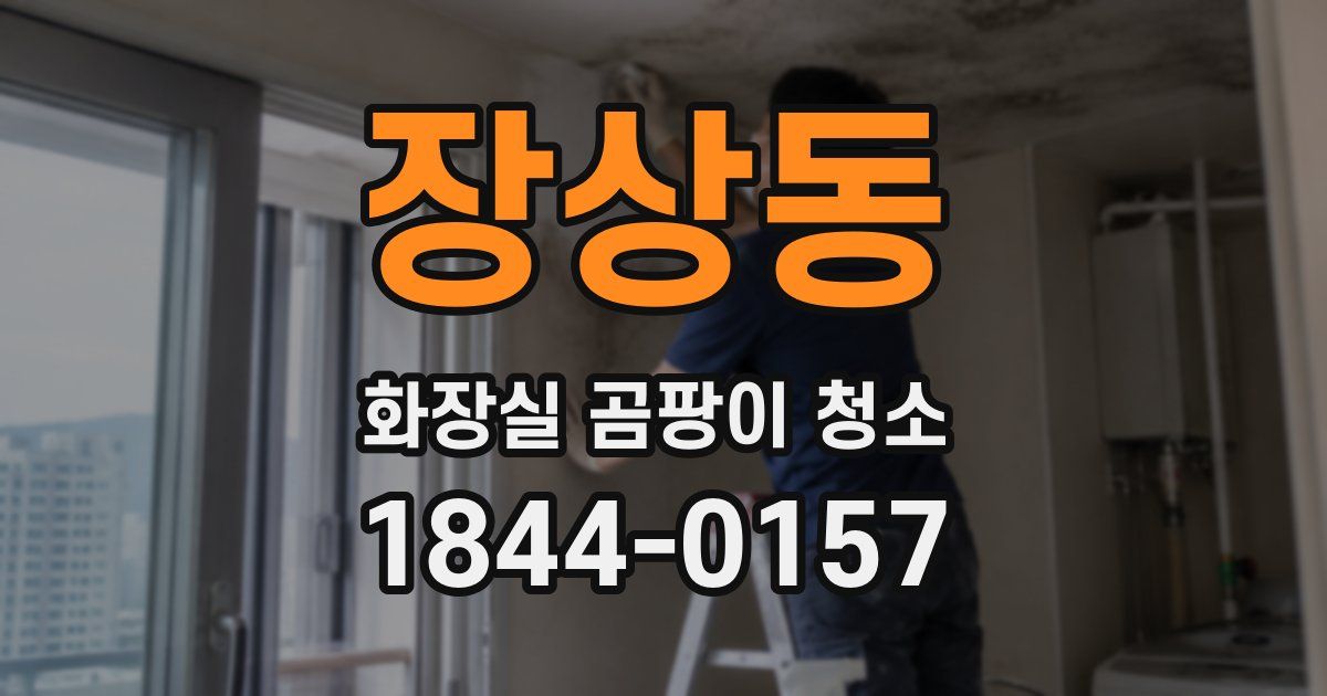 장상동 화장실 곰팡이 청소