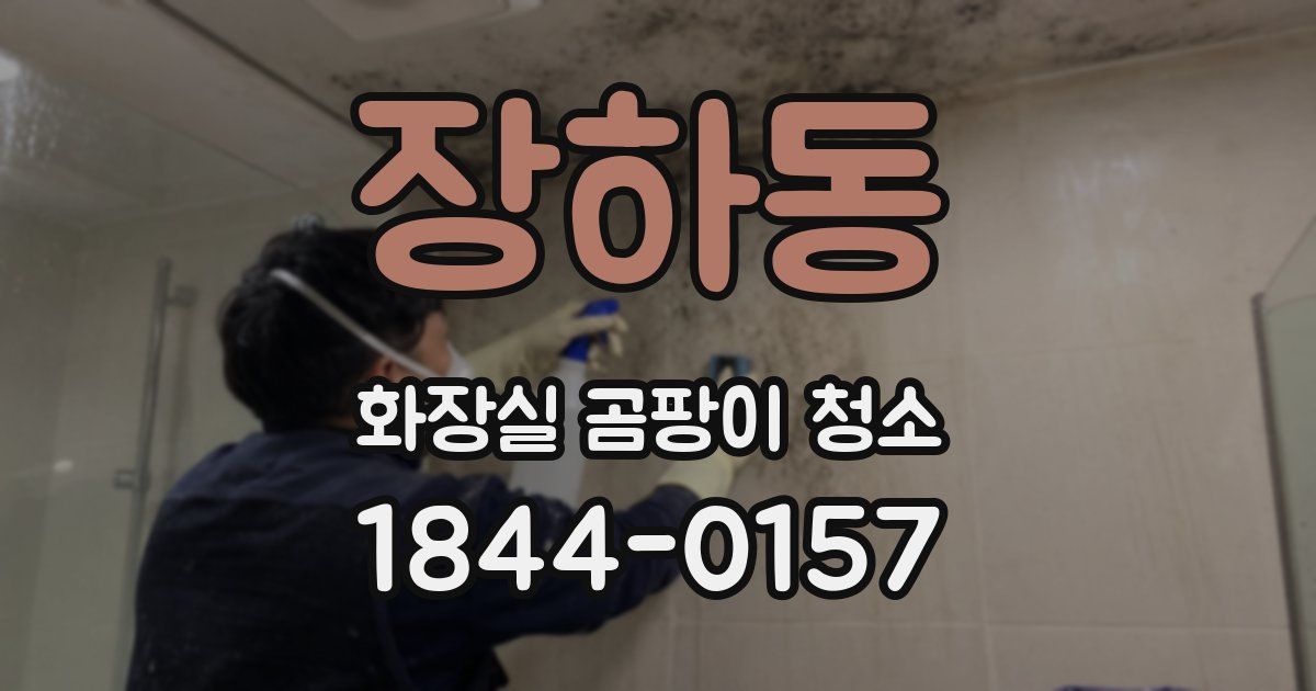 장하동 화장실 곰팡이 청소