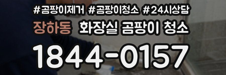 장하동 화장실 곰팡이 청소