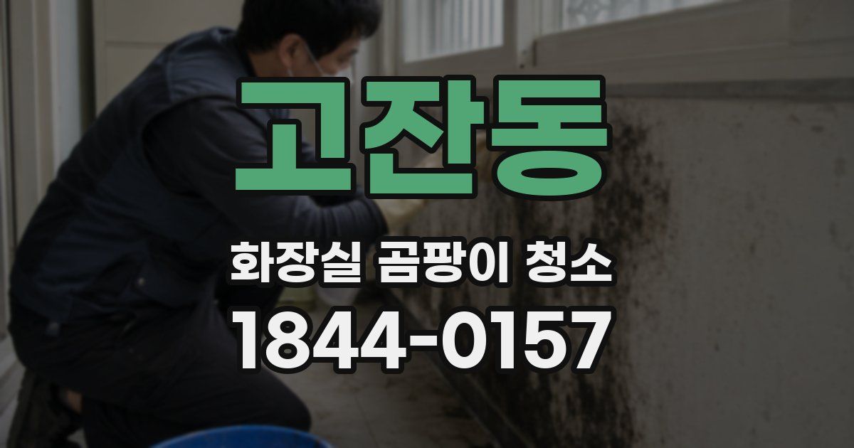 고잔동 화장실 곰팡이 청소