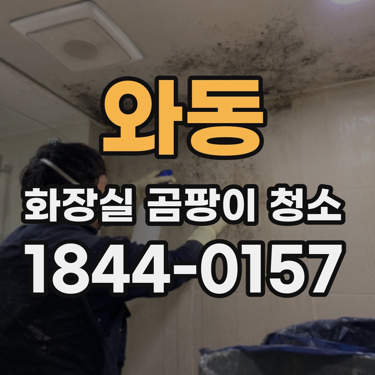 와동 화장실 곰팡이 청소