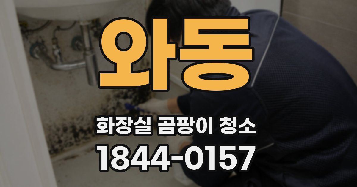 와동 화장실 곰팡이 청소