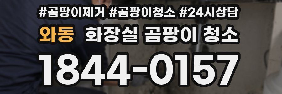 와동 화장실 곰팡이 청소
