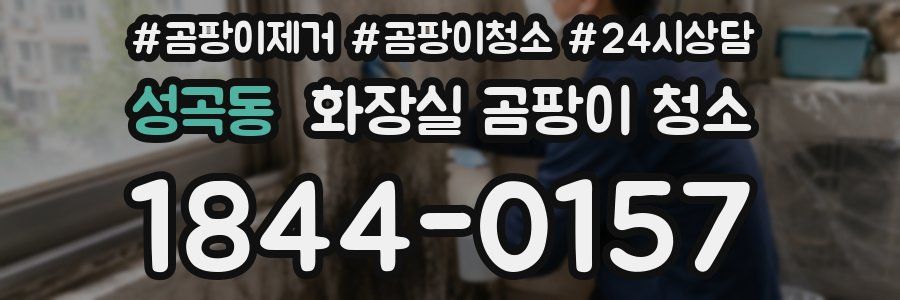 성곡동 화장실 곰팡이 청소
