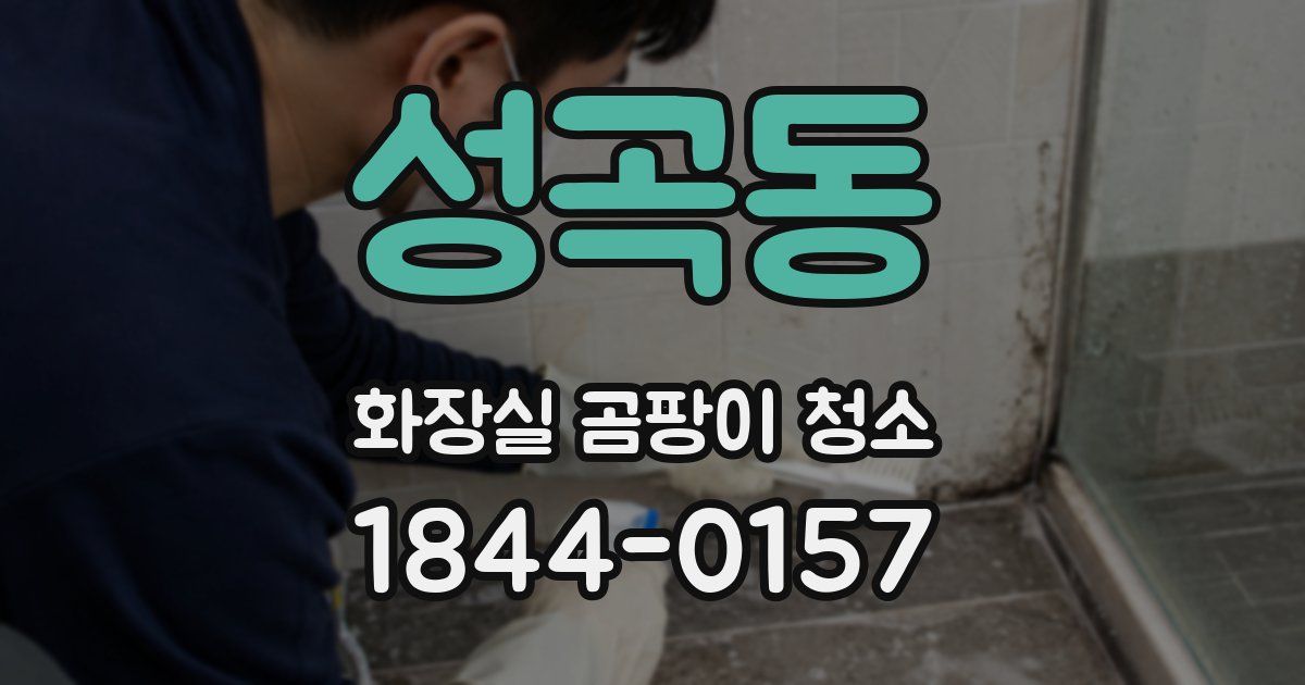 성곡동 화장실 곰팡이 청소