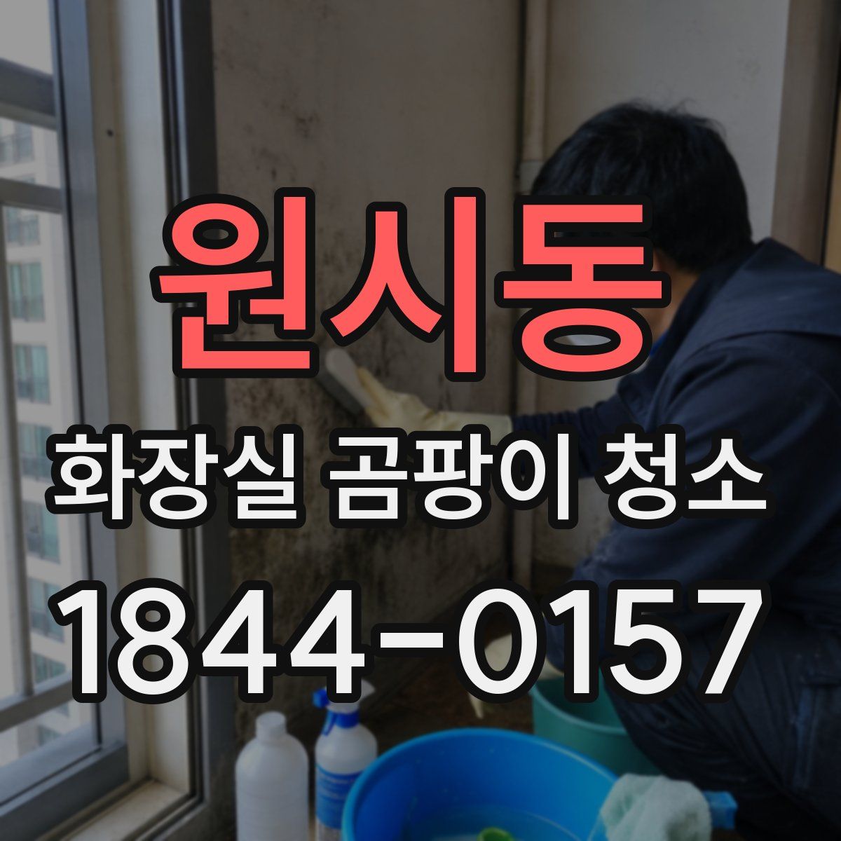 원시동 화장실 곰팡이 청소